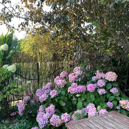 Dormare * Grzybowo (West Pomeranian)