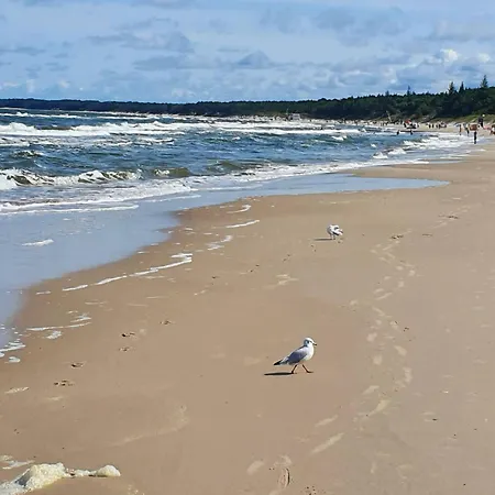 Dormare * Grzybowo (West Pomeranian)