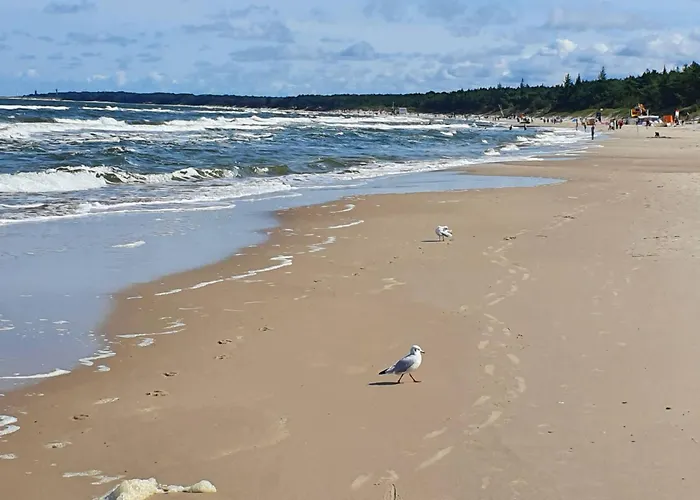 Dormare * Grzybowo (West Pomeranian)